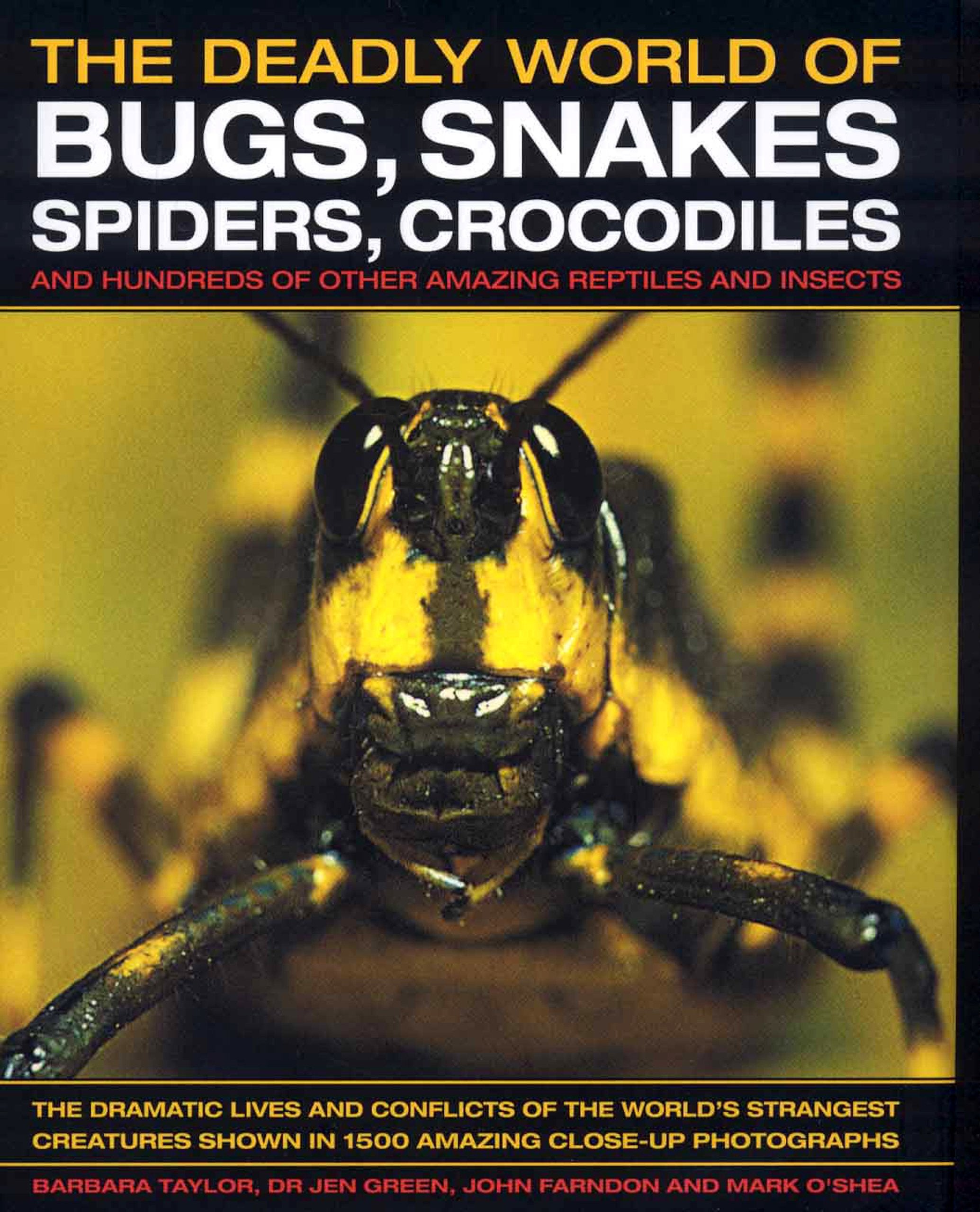 The Deadly World of Bugs, Snakes, Spiders, Crocodiles: And Hundreds of Other Amazing Reptiles and Insects Hardcover