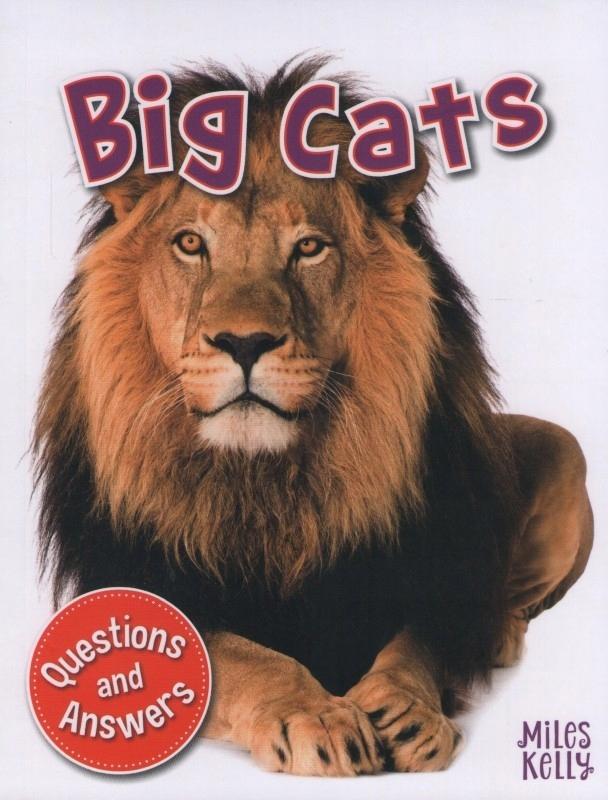 My Q & A Library 3 Big Cats