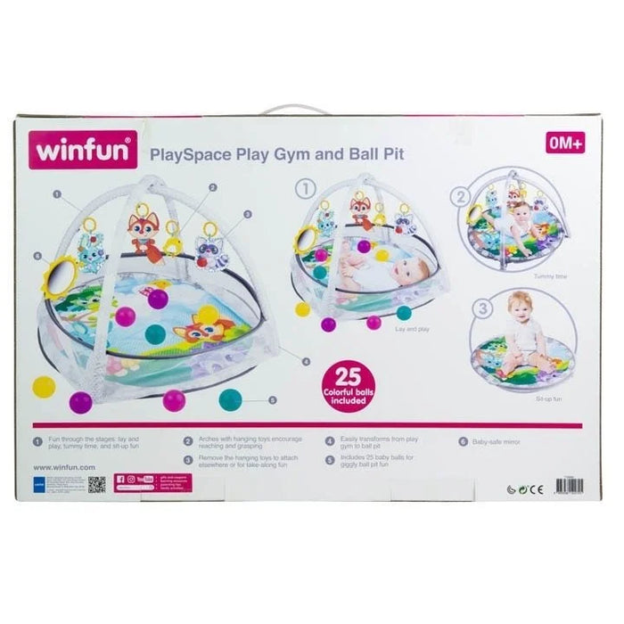 Playspace Play gym and Ball pit Winfun