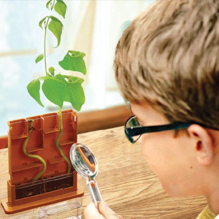 4M Kids Labs Green Science - Grow-A-Maze