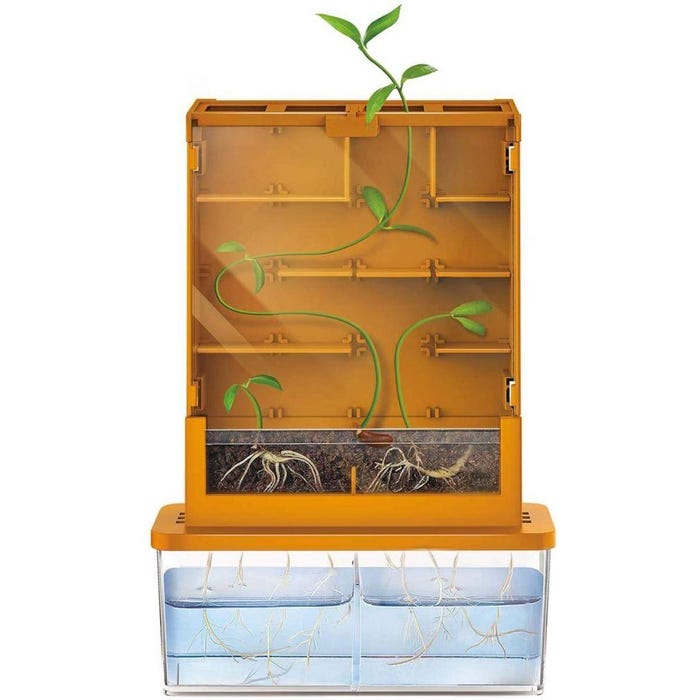 4M Kids Labs Green Science - Grow-A-Maze