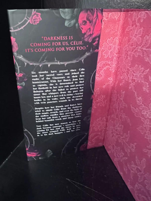 Paw Patrol Jet To The Rescue!