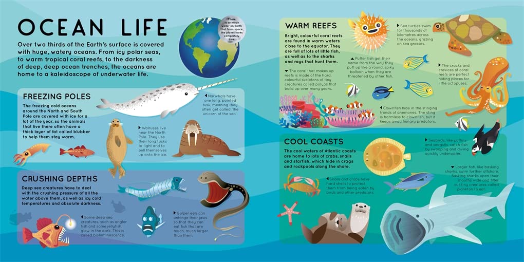 Build a Giant 3D Ocean Scene