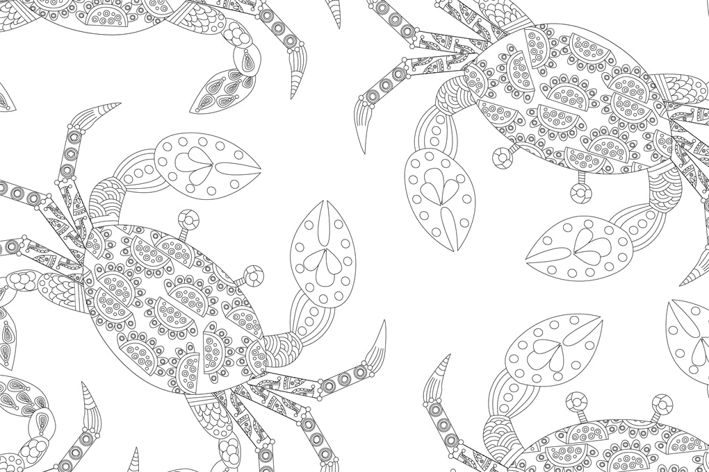 Inspirational Colouring: Animals and Nature