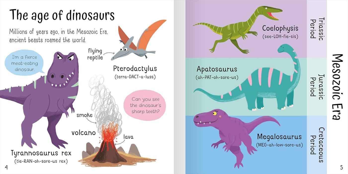 Wonderful Dinosaurs 