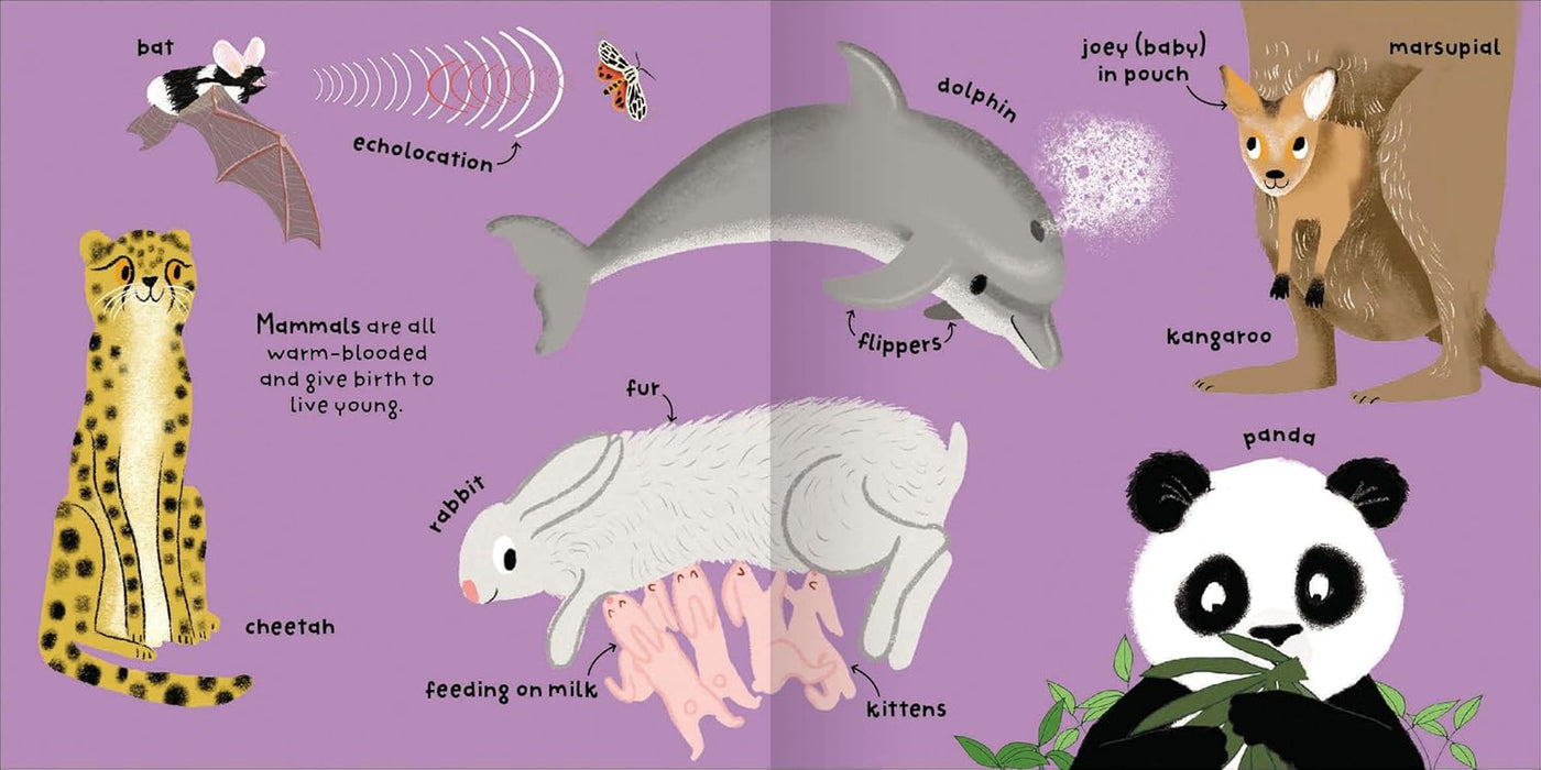 Big Words for Little Experts Animals