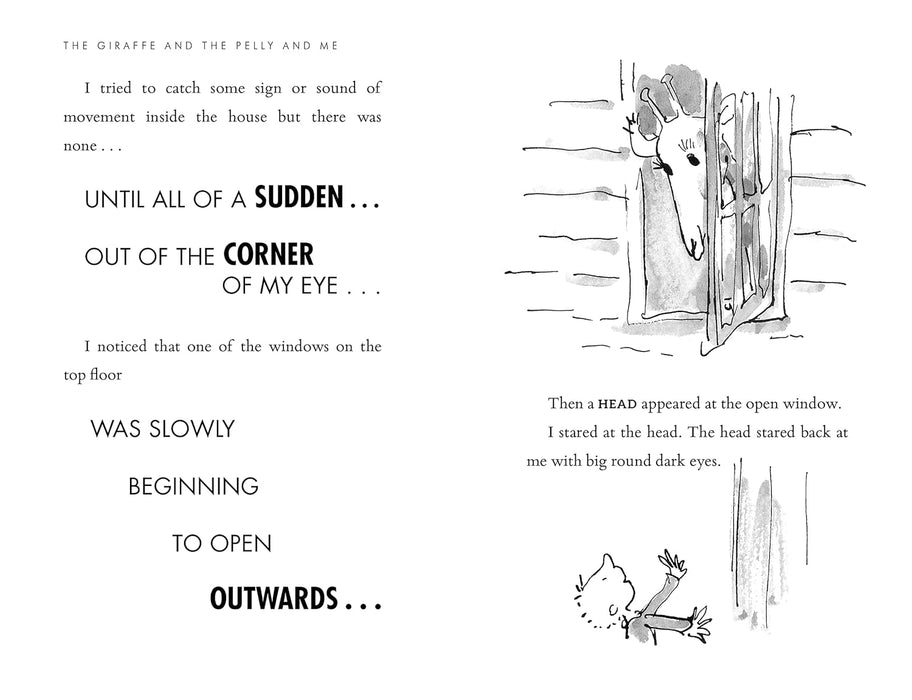 Roald Dahl Giraffe and the Pelly and Me