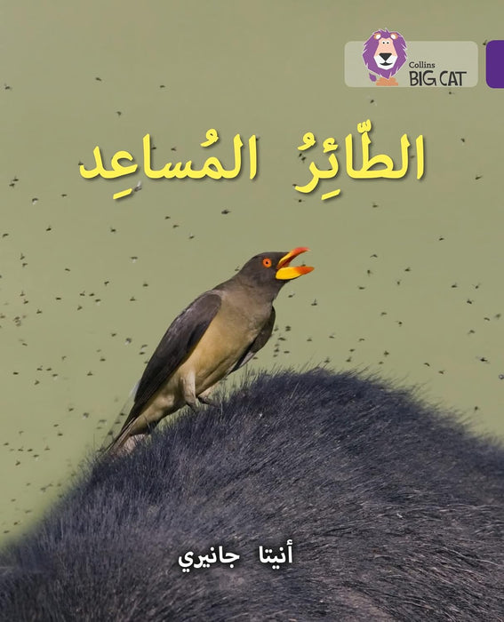 Big Cat Arabic Book (Level 8)