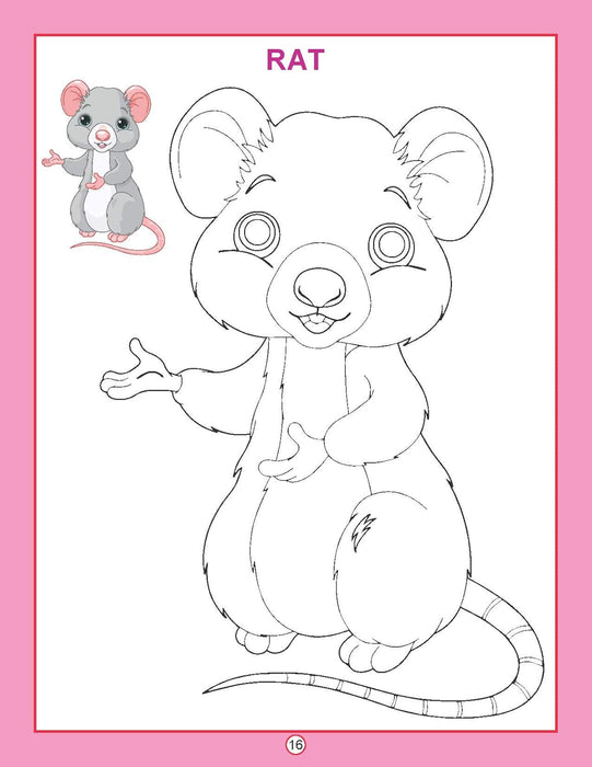 Copy Coloring Animals