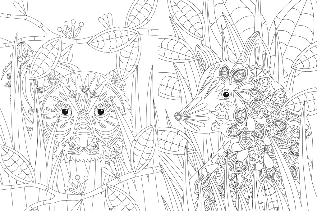Inspirational Colouring: Animals and Nature