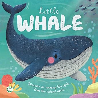 Little Whale – Little Nature Stories: An illustrated story about the life cycle of a whale