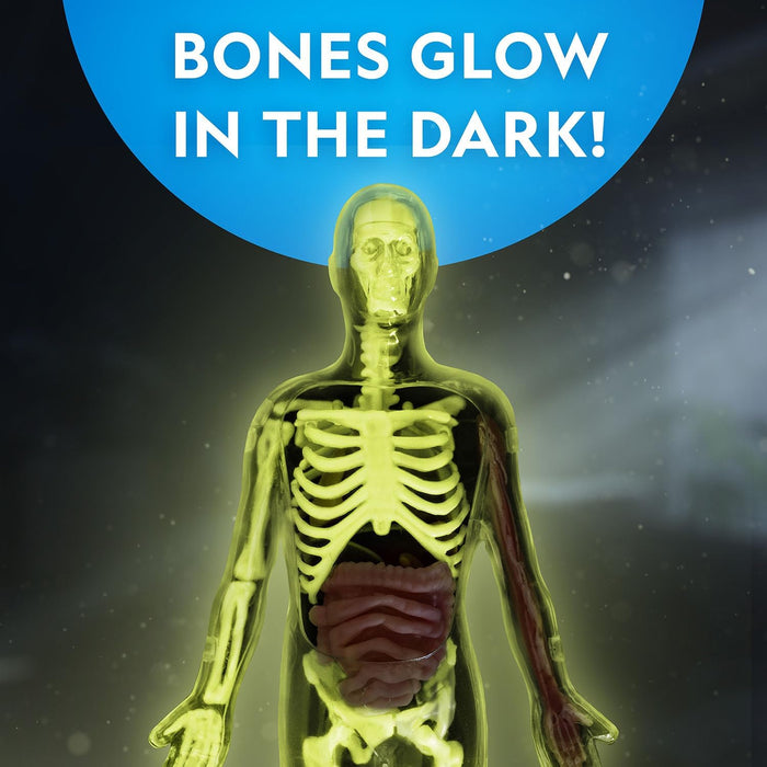National Geographic Glow-In-The-Dark Human Body Learning Toy