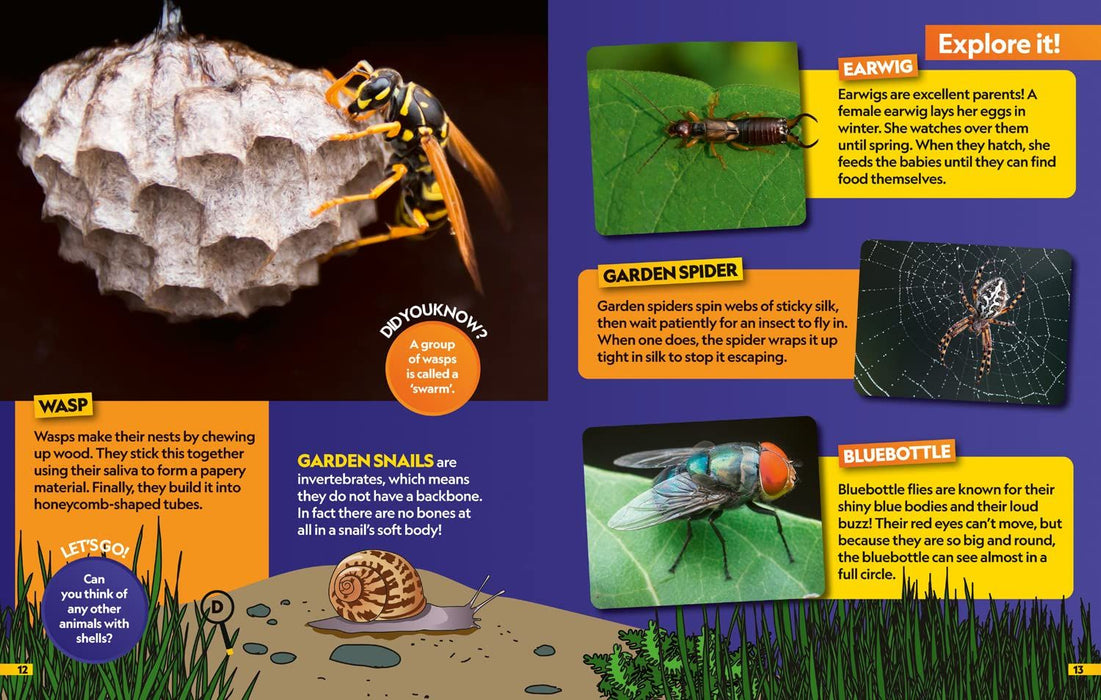 National Geographic Kids Insects