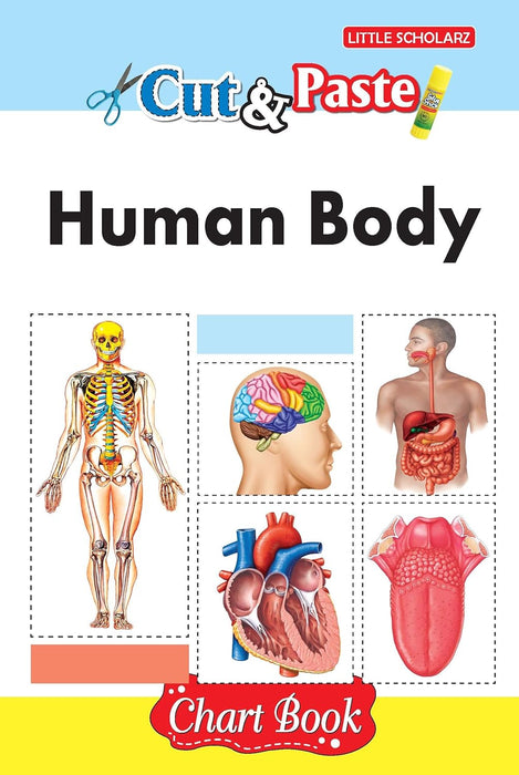 Cut & Paste - Human Body