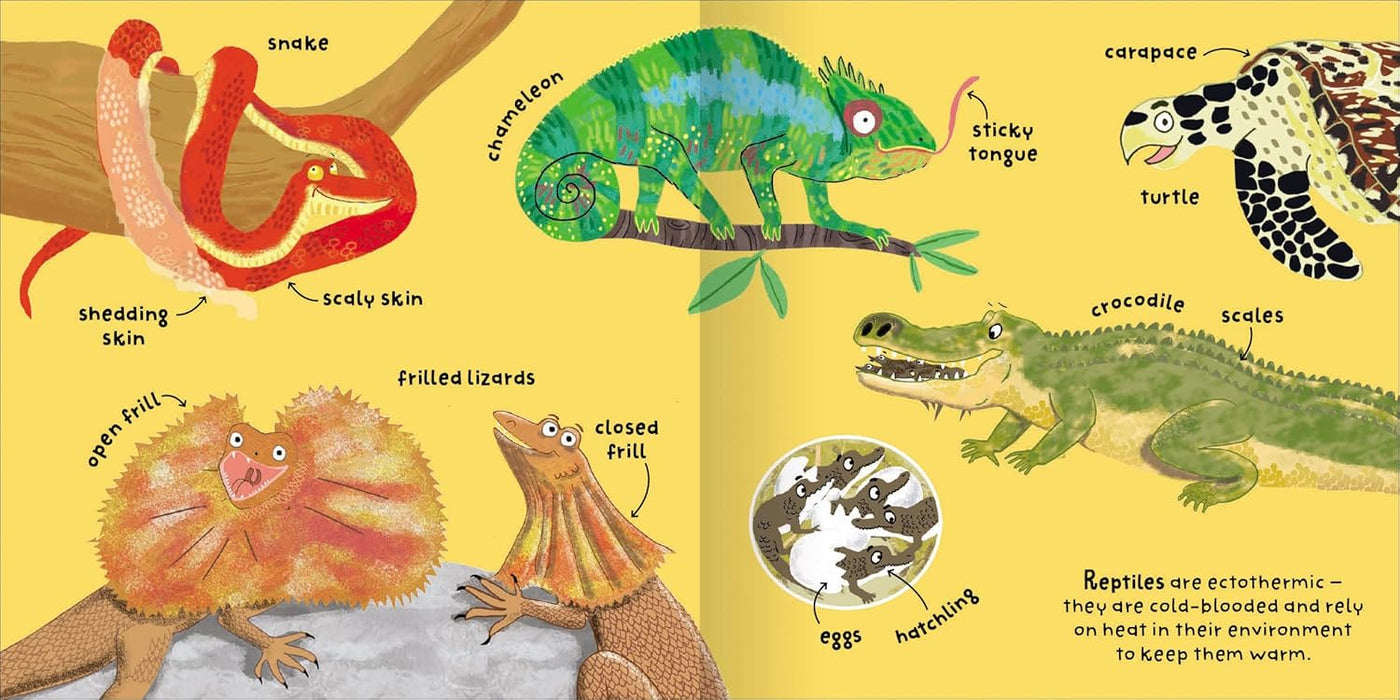 Big Words for Little Experts Animals