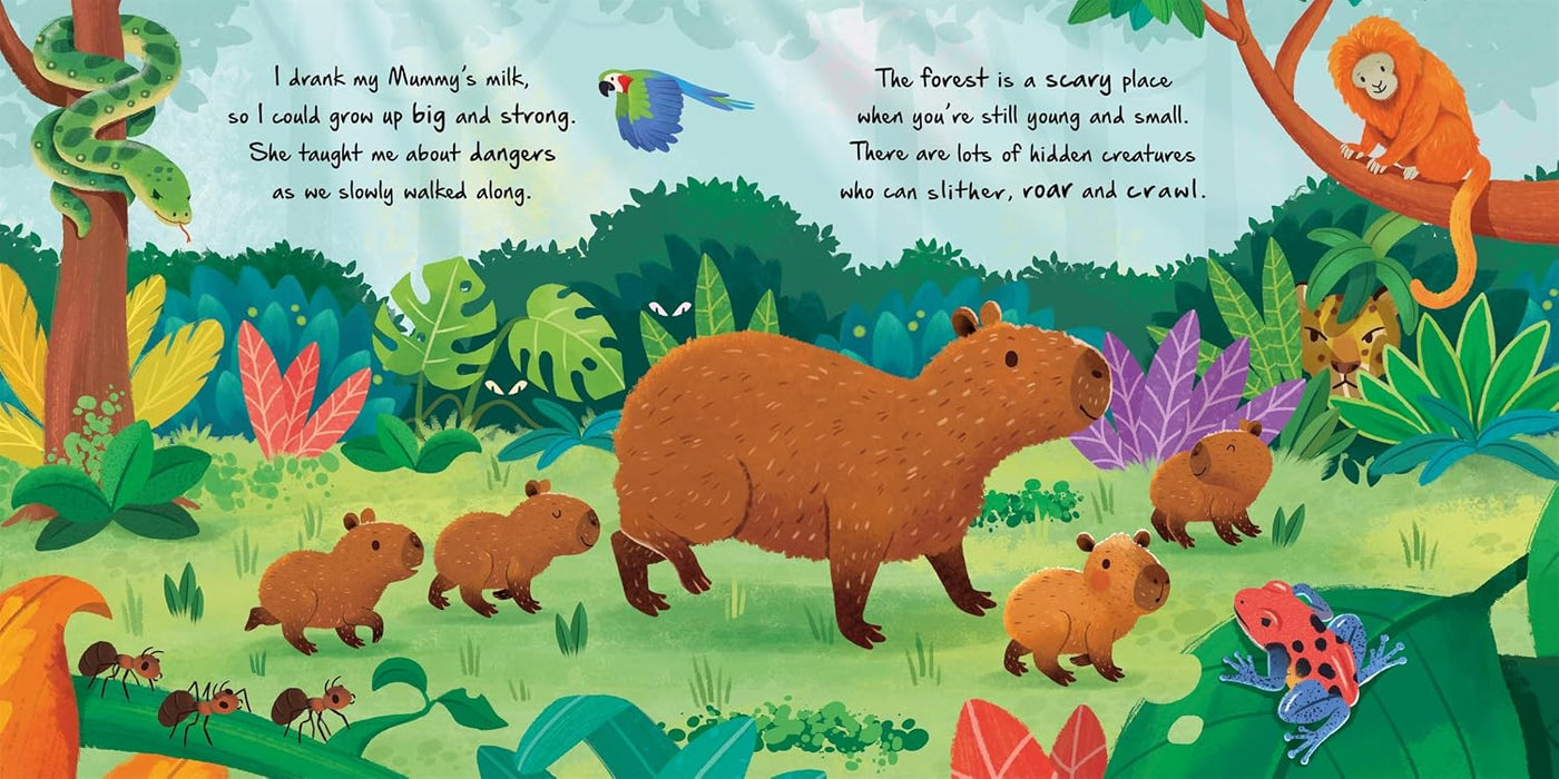 Little Capybara: Little Nature Stories