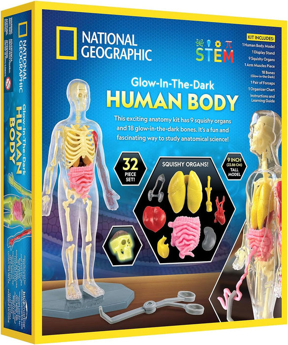 National Geographic Glow-In-The-Dark Human Body Learning Toy