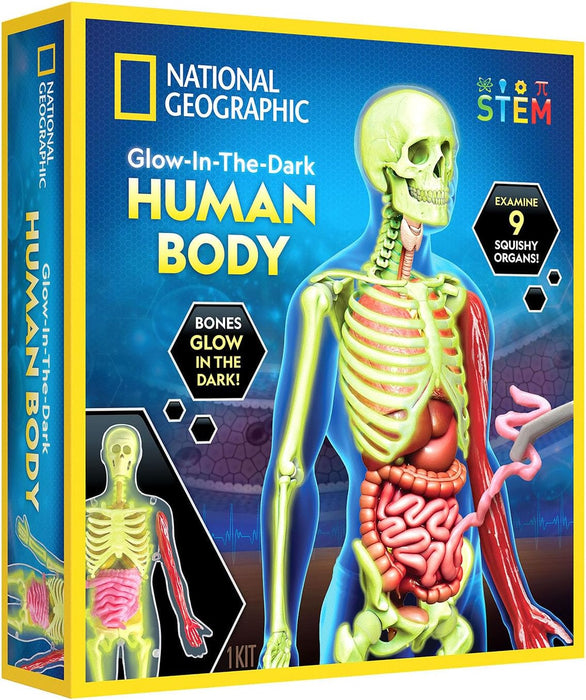 National Geographic Glow-In-The-Dark Human Body Learning Toy