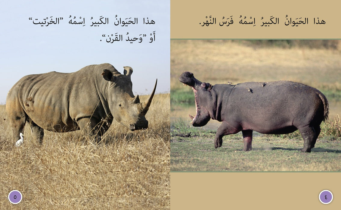 Big Cat Arabic Book (Level 8)