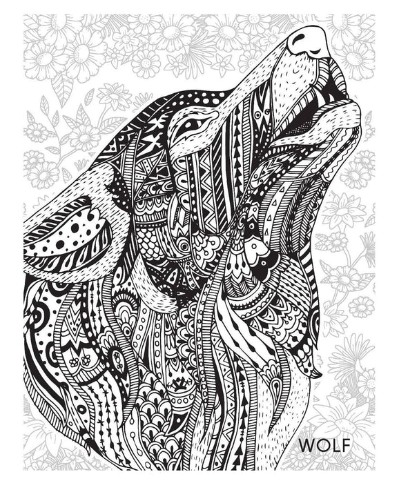 Creative Doodle Colouring Animals & Birds