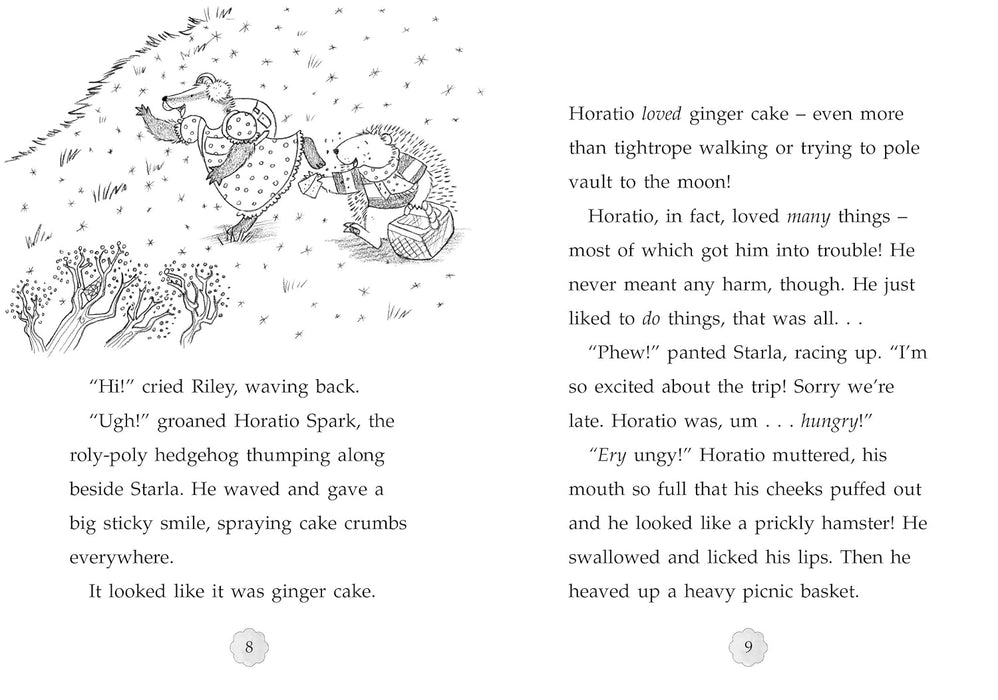 Willow Valley: Hide & Seek