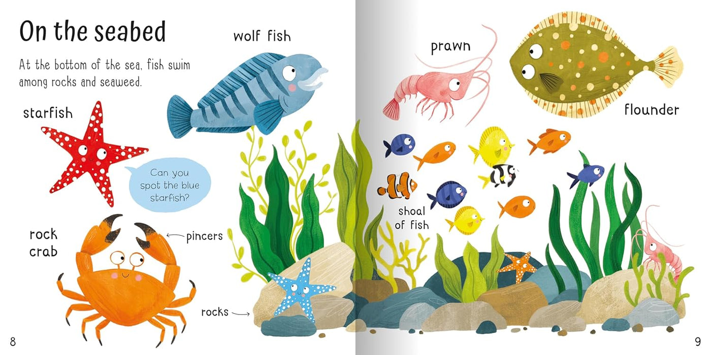 Wonderful Under The Sea