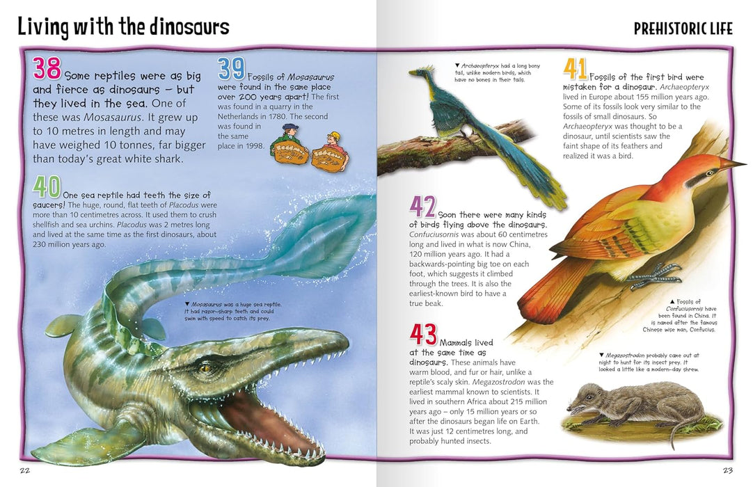 Wild About Dinosaurs