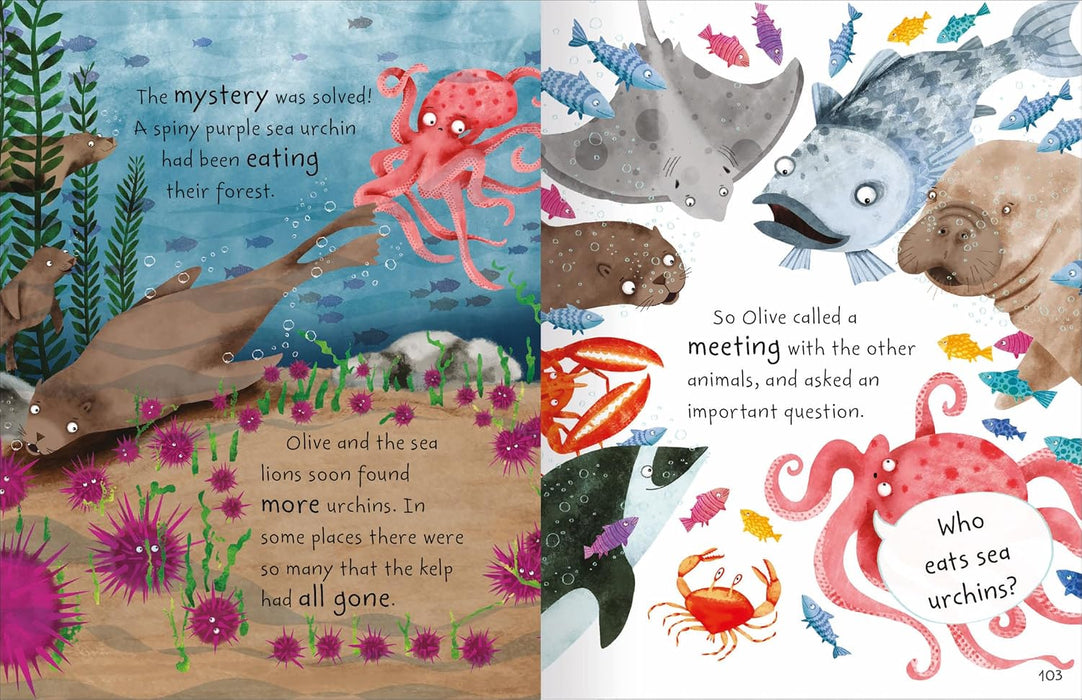 Stories From The Sea 5+   