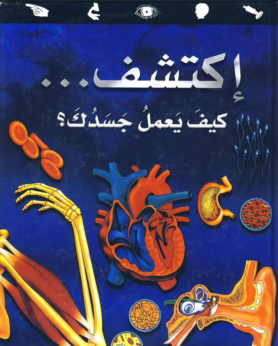 Knowledge Master How Your Body Works