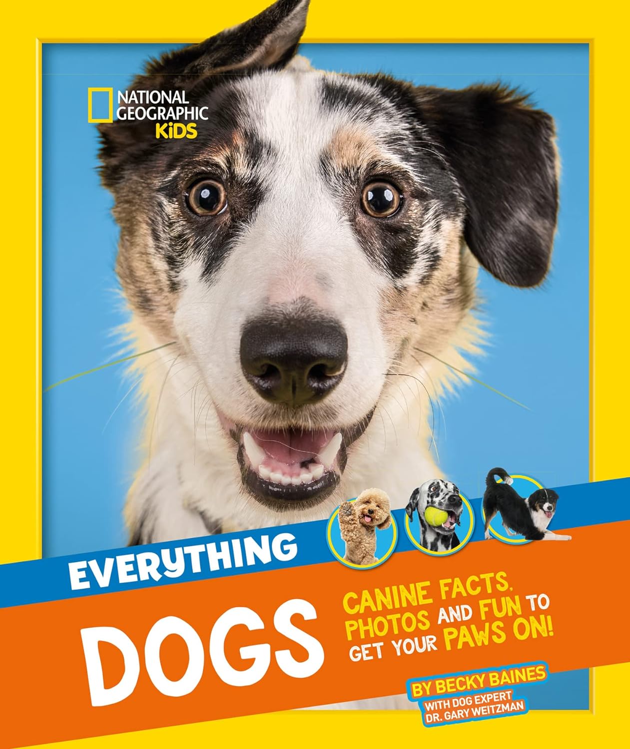 Everything: Dogs: Canine facts, photos and fun to get your paws on!