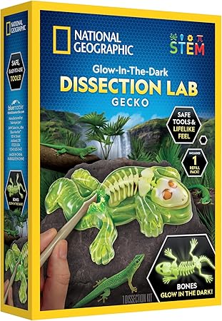 National Geographic Glow-In-The-Dark Gecko Dissection Lab Learning Toy
