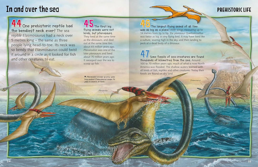 Wild About Dinosaurs