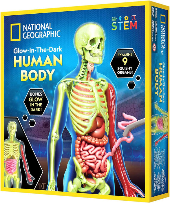 National Geographic Glow-In-The-Dark Human Body Learning Toy