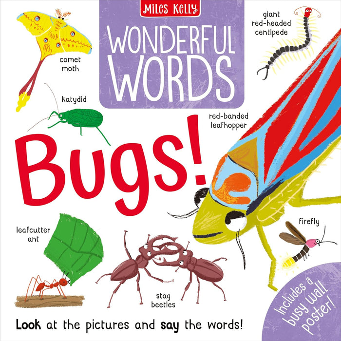 Wonderful Bugs