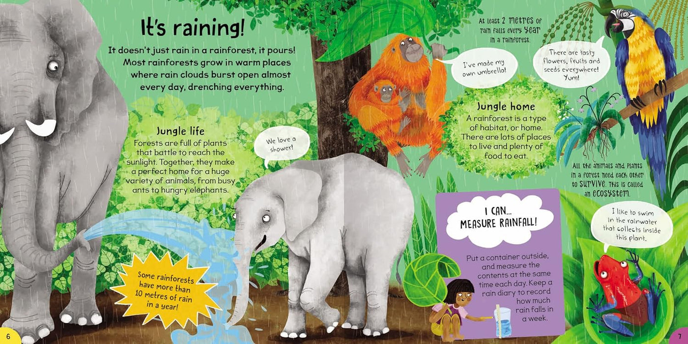 First Rainforest Book  