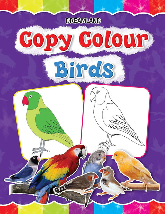 Copy Colour Birds