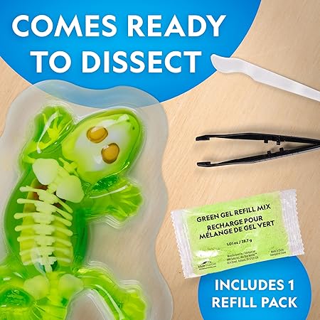 National Geographic Glow-In-The-Dark Gecko Dissection Lab Learning Toy