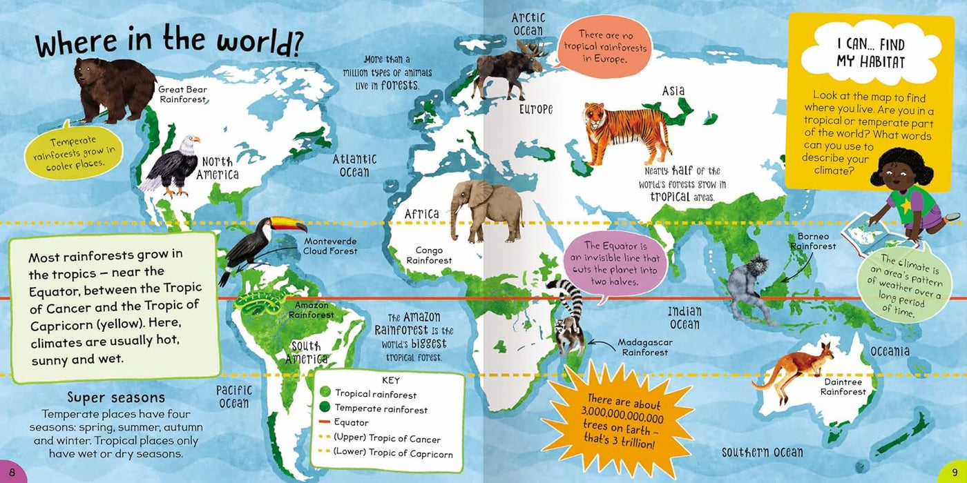 First Rainforest Book  