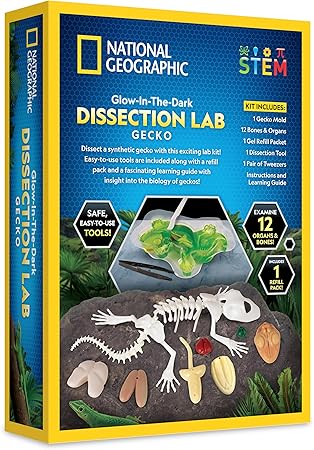 National Geographic Glow-In-The-Dark Gecko Dissection Lab Learning Toy