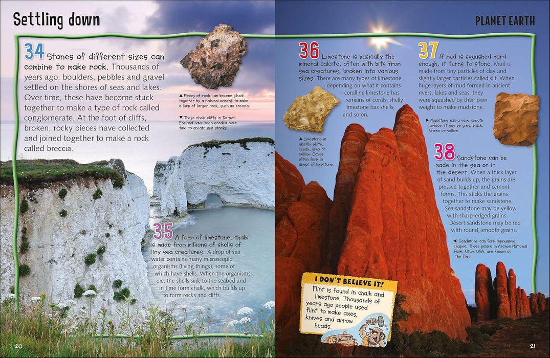 Wild About Planet Earth  