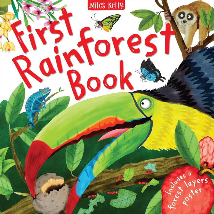 First Rainforest Book  