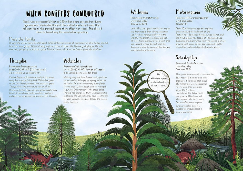 Little People Big Dreams - Dolly Parton