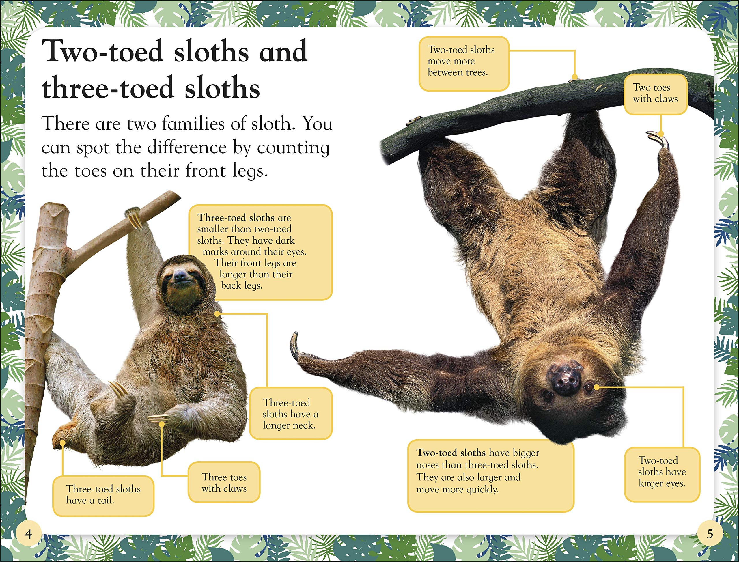 Sloths (DK Readers Level 2)