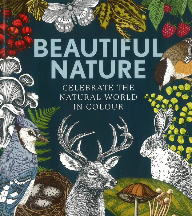 Beautiful Nature - Celebrate The Natural World In Colour