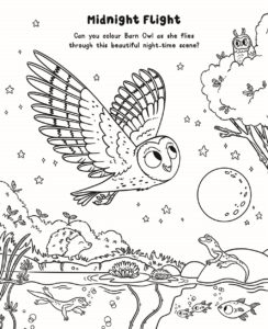 Glow Colouring: Nature