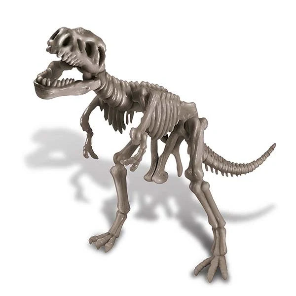 4M Kidz Labs / Tyrannosaurus Rex