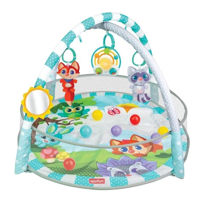 Playspace Play gym and Ball pit Winfun