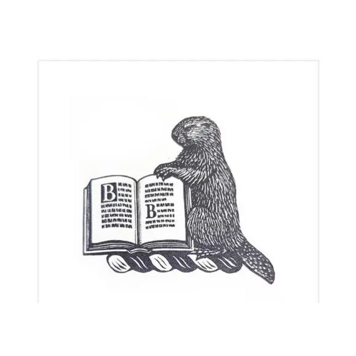 Scooby Doo - Scooby Doo's crazy cards