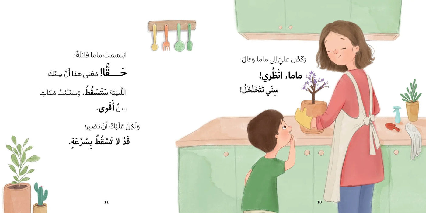 أين سني ؟