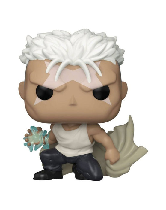 Pop! Animation: Fullmetal Alchemist: Brotherhood- Scar